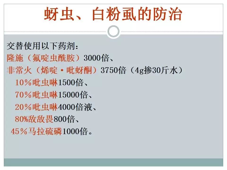 新奥门特免费资料大全今天的图片,最佳实践策略实施_入门版31.540