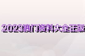 澳门内部正版资料大全嗅,正确解答落实_Q39.717