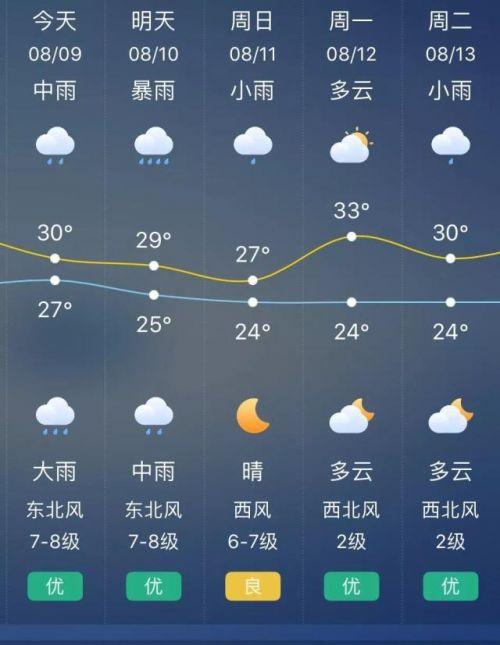 台台风最新动态，实时分析、应对策略及最新消息速递