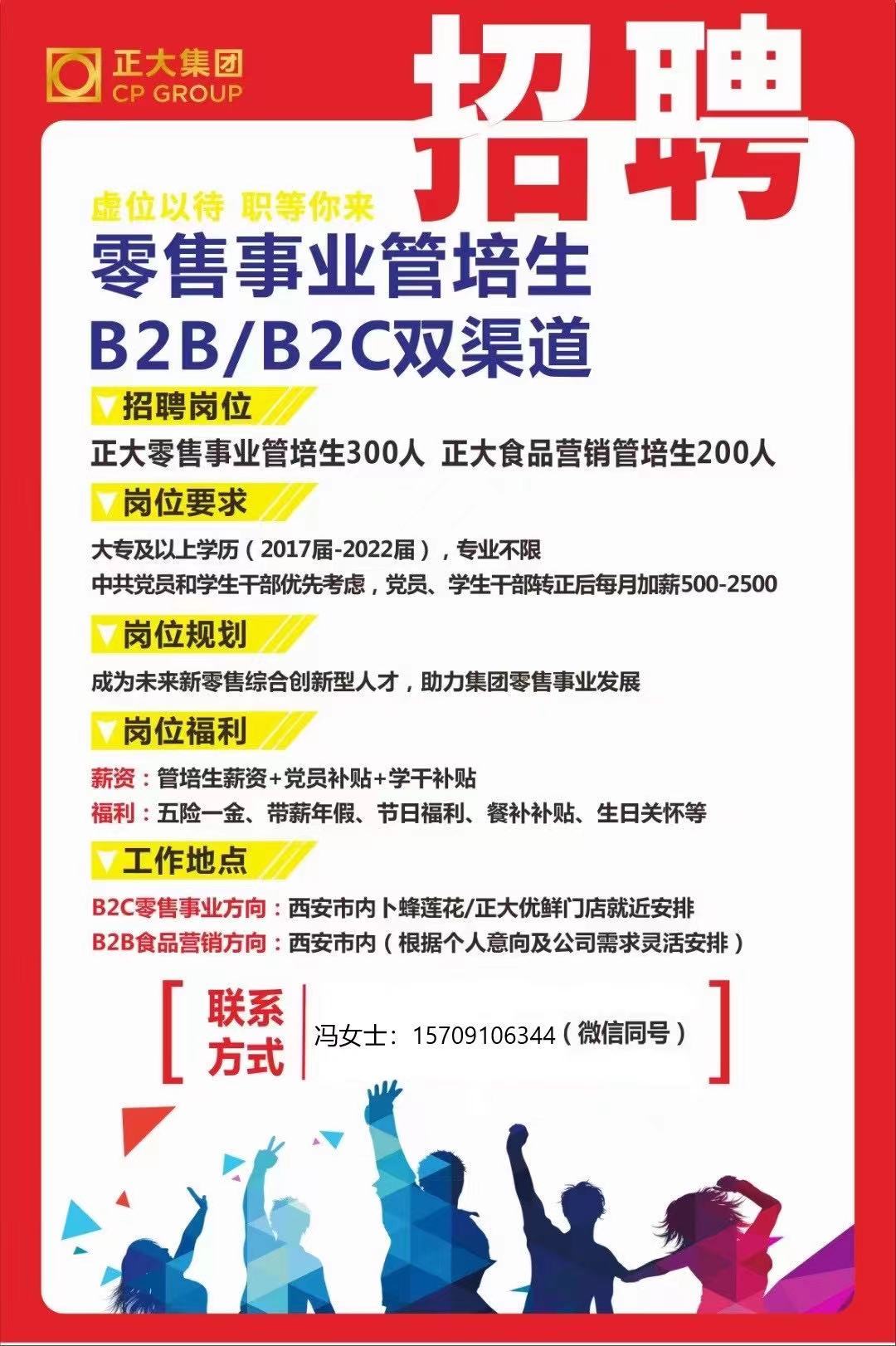 公司最新招聘资讯概览