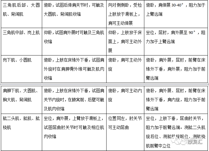 澳门三肖三码精准100,精细解析评估_XT50.391