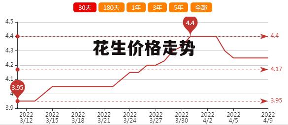 花生最新价格行情解析