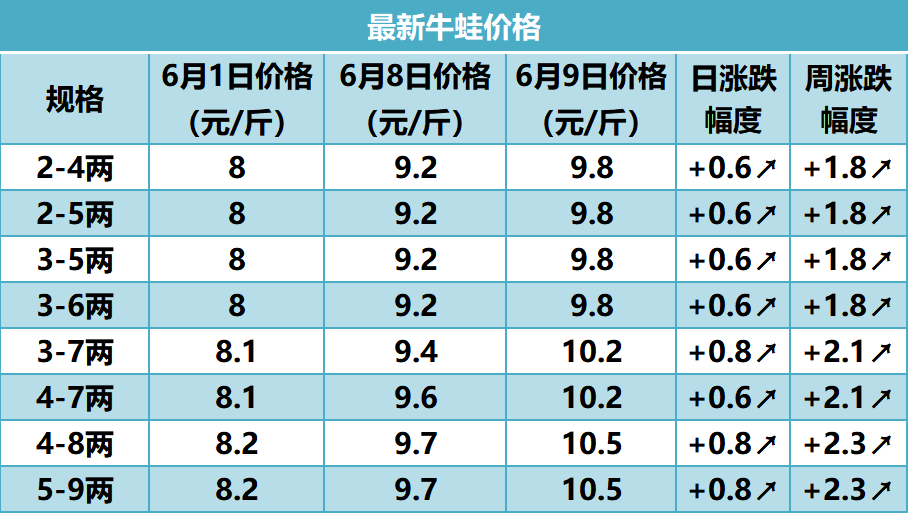 牛蛙价格最新行情解析