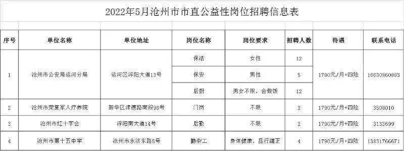 沧州招聘网最新招聘动态深度解读与分析