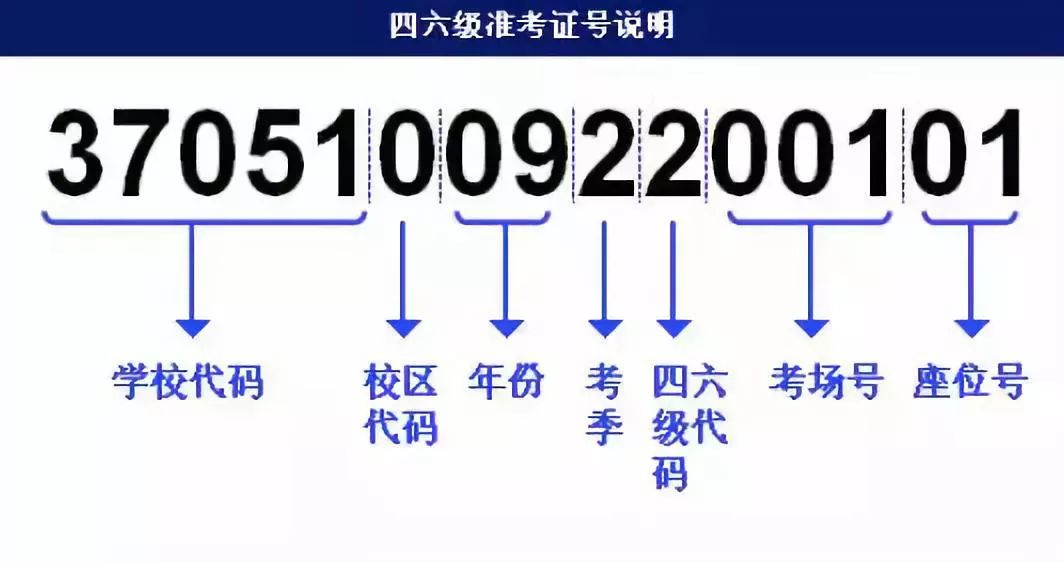 澳门4949资科大全,适用解析计划方案_tool55.635