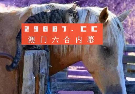 〃梦倾城 第6页