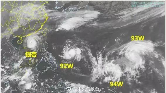 厦门台风最新消息全面解读