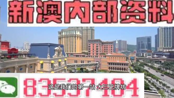 2024新澳精准正版资料,实地执行考察方案_set29.278