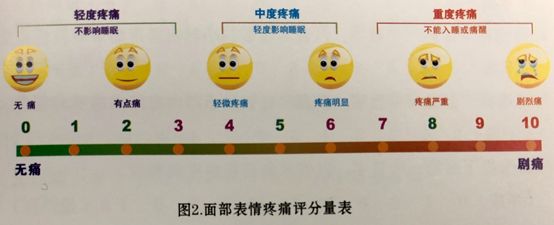 最准一肖一.100%准,可靠解析评估_Q39.717