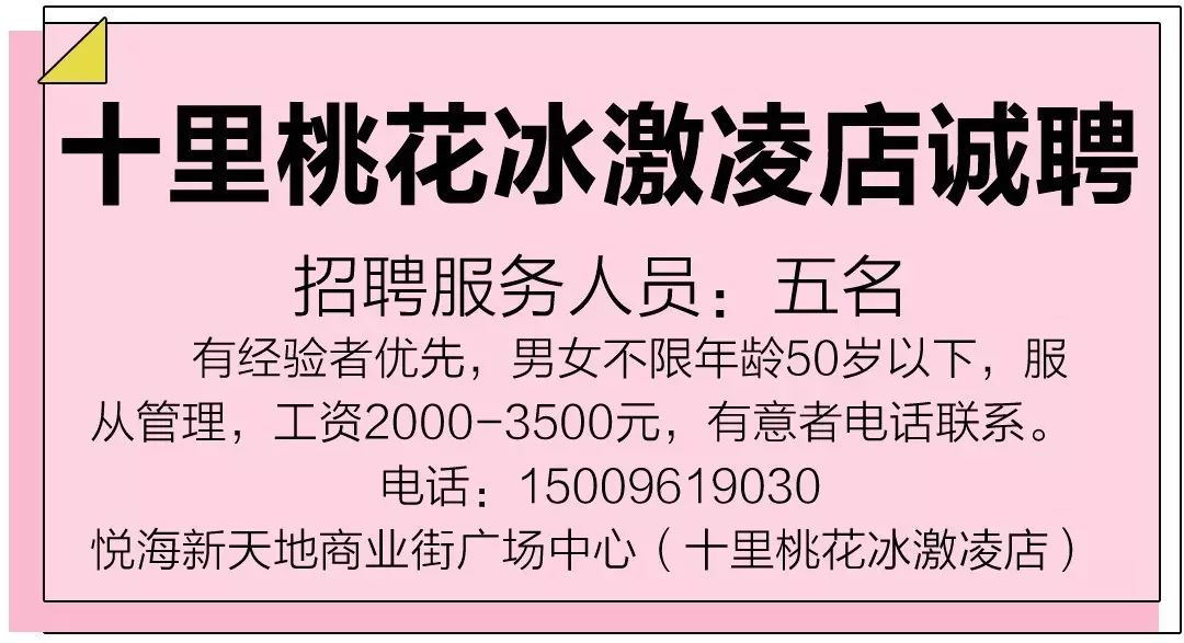 海尔最新招聘信息及概览