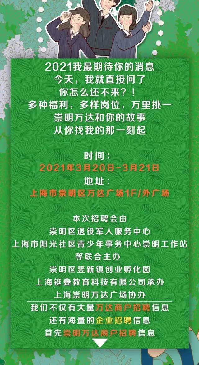 崇明招聘网最新招聘动态深度解析与解读