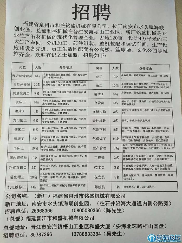 惠安招聘网最新招聘动态深度解读与解析报告