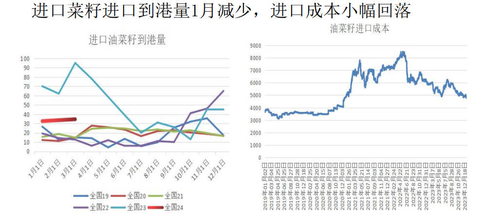 菜粕期货最新消息深度解读