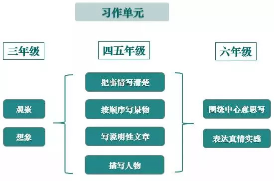 澳门今晚开特马四不像图,权威解答解释定义_旗舰版51.579