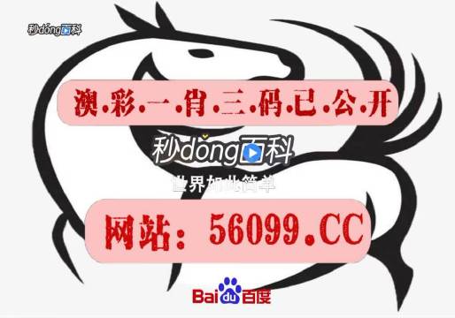 澳门王中王100%的资料三中三,专业分析解释定义_Pixel49.916