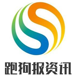 澳门跑狗,数据导向策略实施_soft52.380