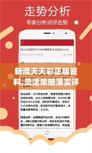 新澳天天彩正版资料,合理决策执行审查_tShop98.870