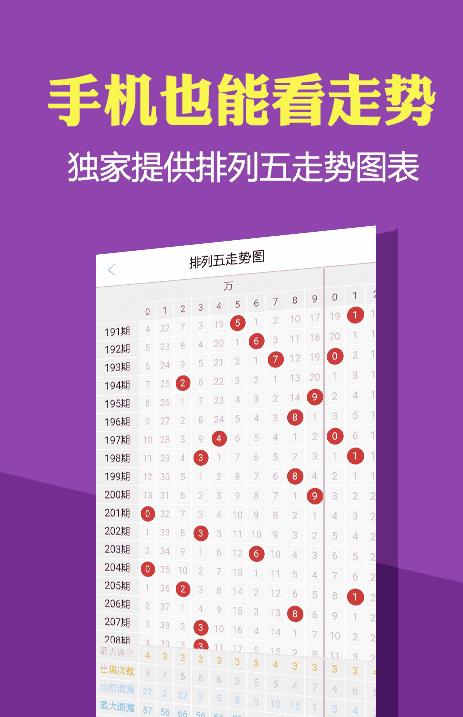 2024新澳正版免费资料大全,数据驱动执行设计_bundle74.982