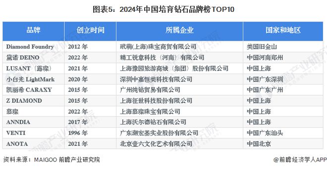 2024年正版资料免费大全,全面应用分析数据_MT62.259