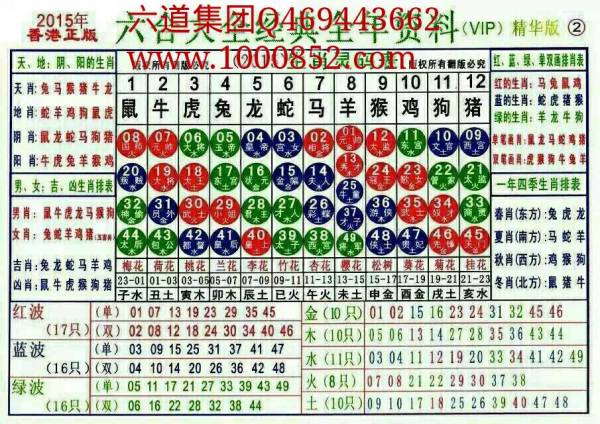 2024十二生肖49码表,完善的机制评估_5DM84.496