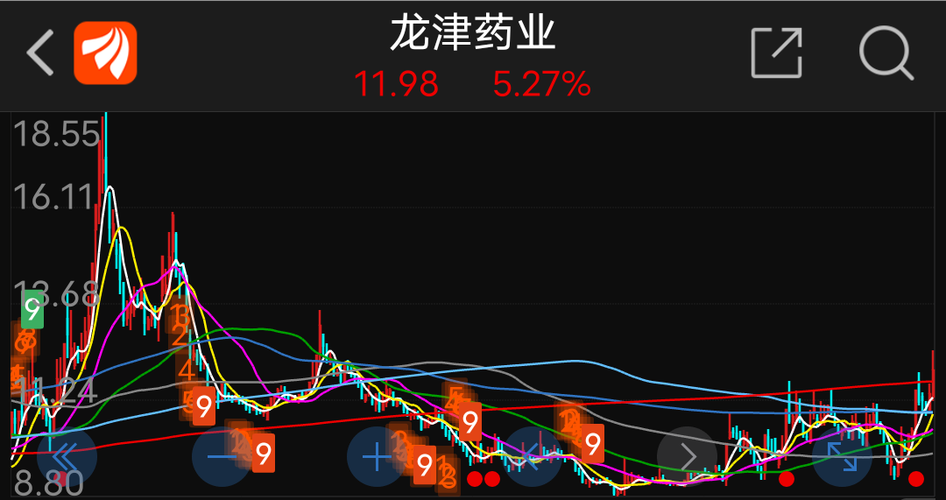 龙津药业最新动态全面解读