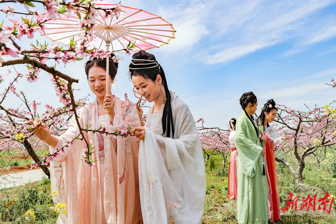 桃花族最新地址揭秘，探索与发现之旅的启程点