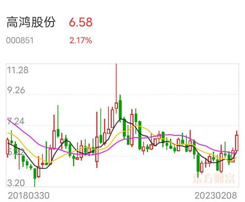 高鸿股份最新消息新闻概览