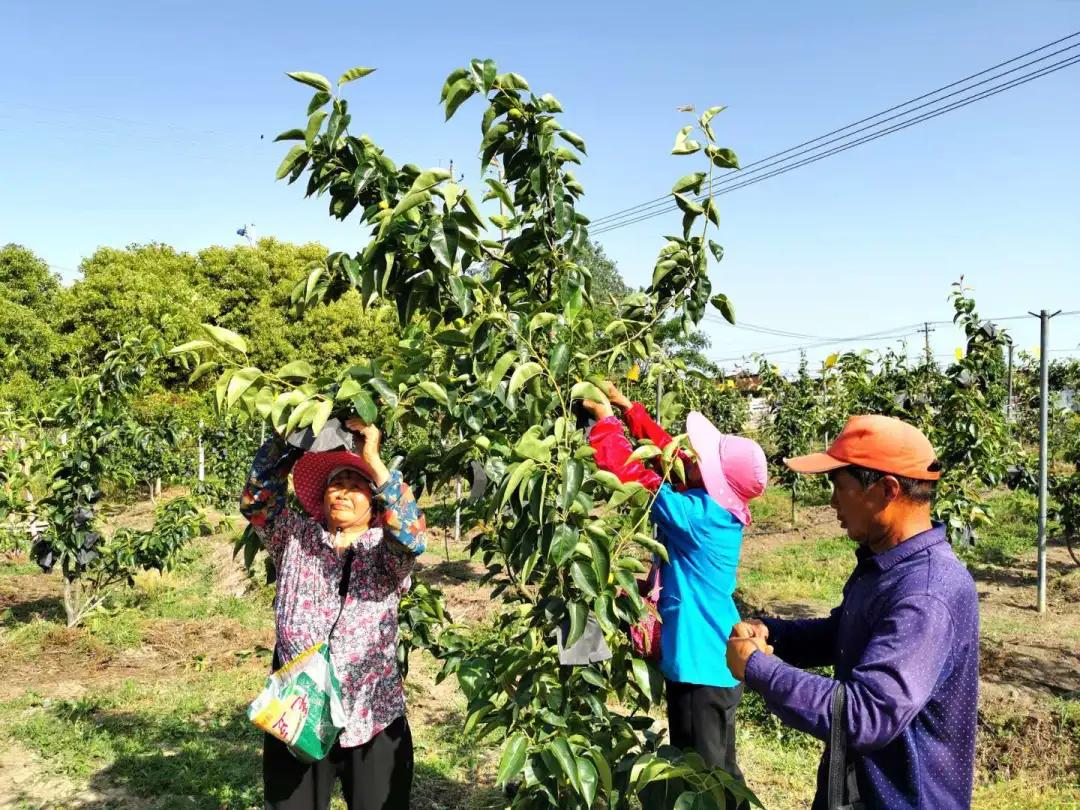 戴南人才网最新招聘动态，职业黄金机会等你来把握