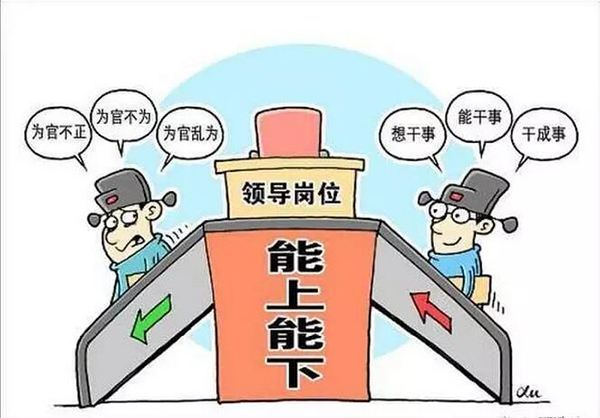 最新干部提职三年工作成果回顾与总结报告