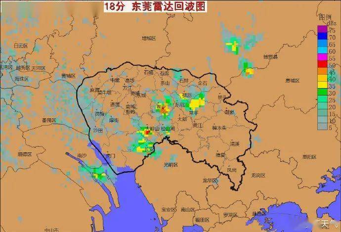 东莞天气预报更新，气象变化及应对策略解读