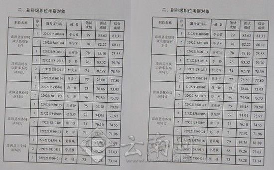 云南省干部公示，推动地方治理现代化的重要举措