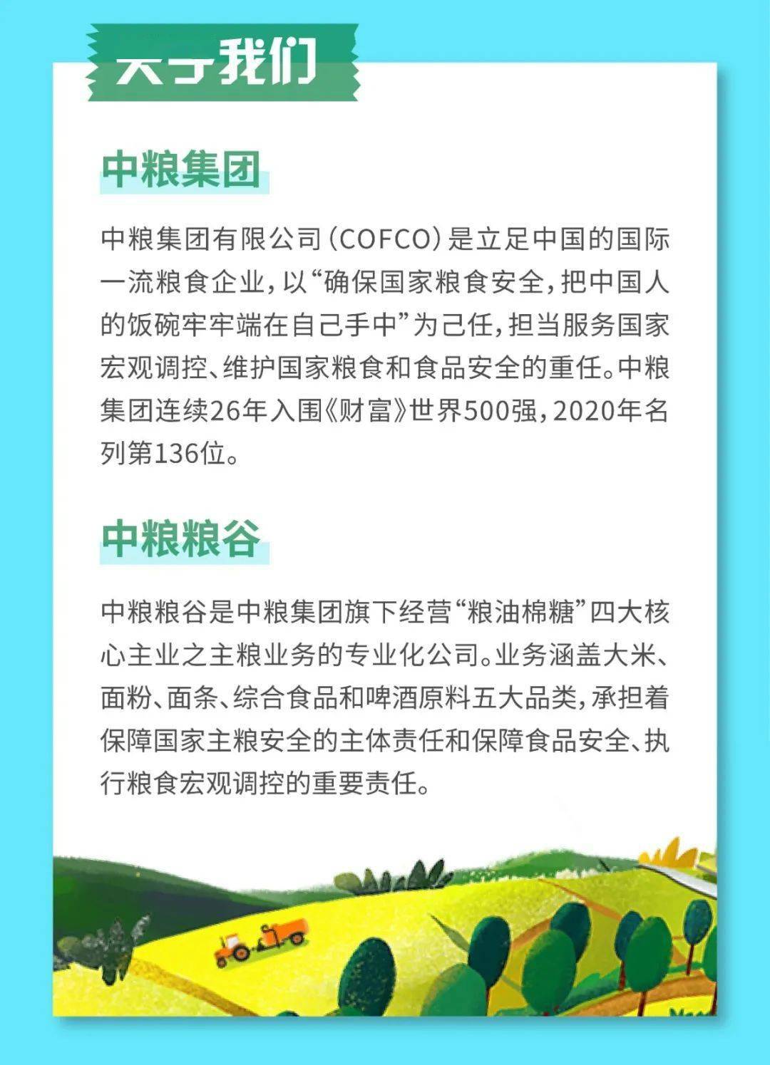 中粮集团最新招聘动态概览