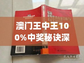 澳门王中王100,快速设计响应解析_尊贵版41.310