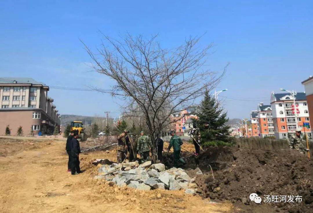 汤旺河区住房和城乡建设局最新项目进展动态