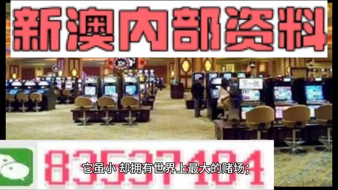 2024新澳门精准免费大全,精细设计计划_DP29.894