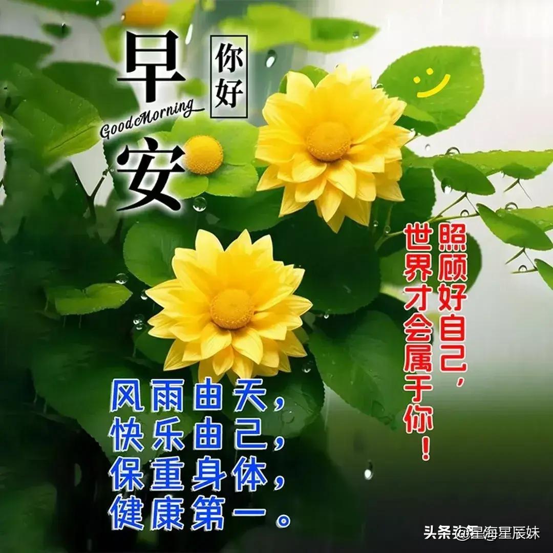 白衬衫，单纯的像孩子。 第3页