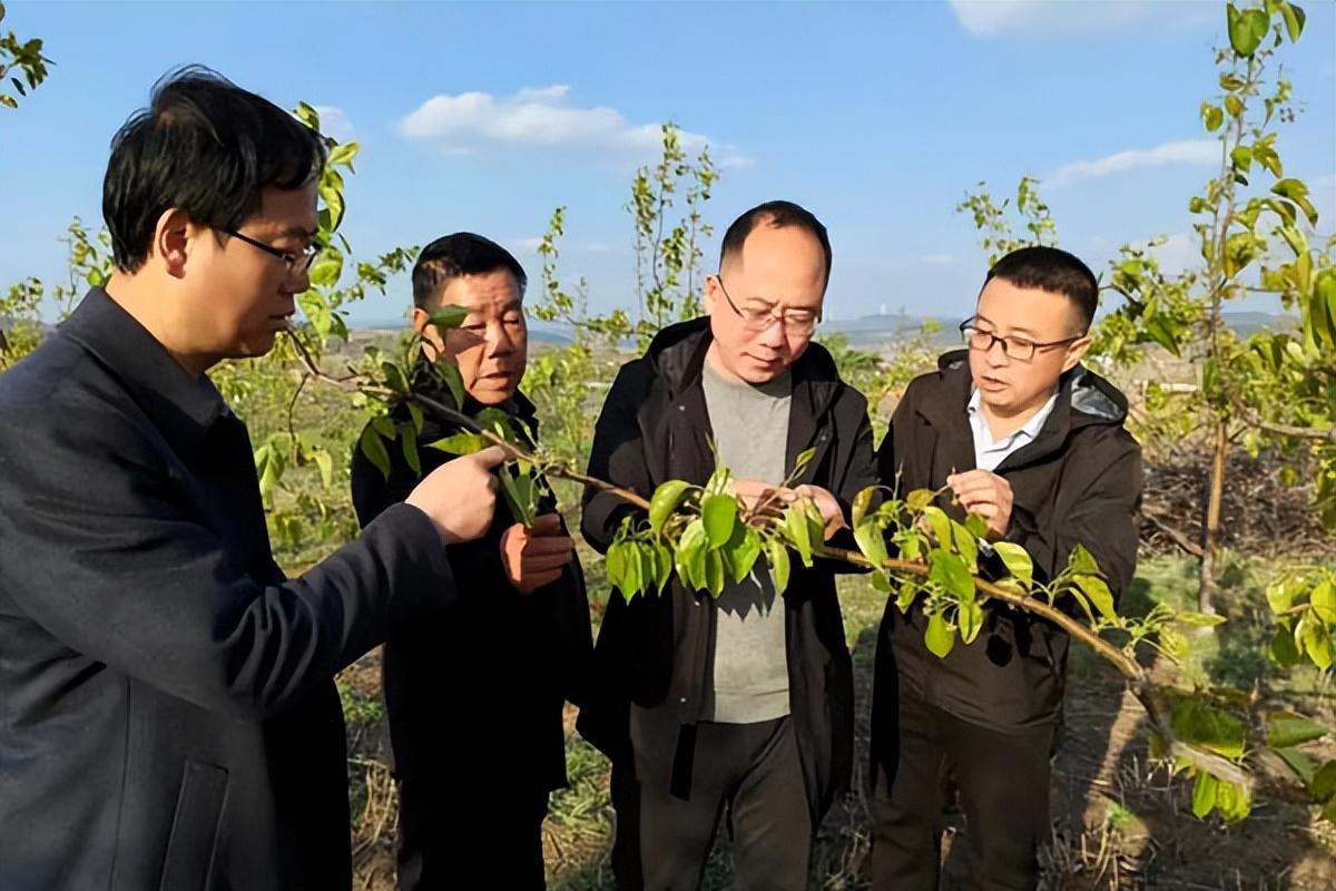 山西省长治市壶关县百尺镇最新新闻动态