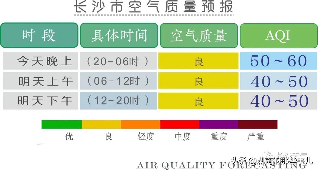 2024年12月2日 第6页