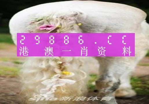 走心小迷妹 第3页