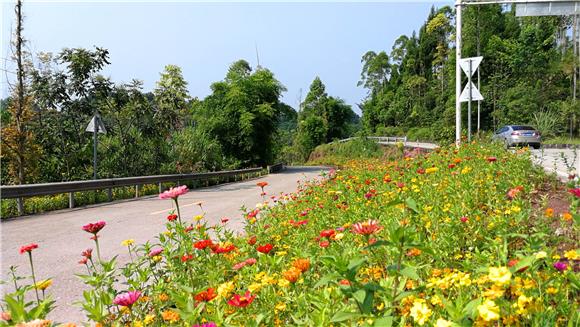 维新镇交通新动态，发展引领地方繁荣之路