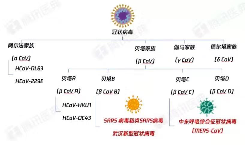 014967cσm查询,澳彩资料,实地评估解析数据_钱包版81.671