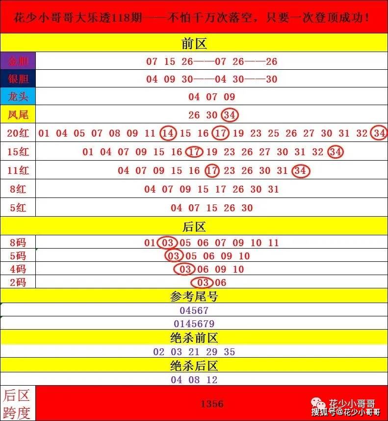 2024新澳门今晚开奖号码和香港,实时说明解析_Q12.725