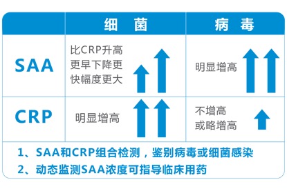 新澳准资料免费提供,实时解析数据_专属版69.584