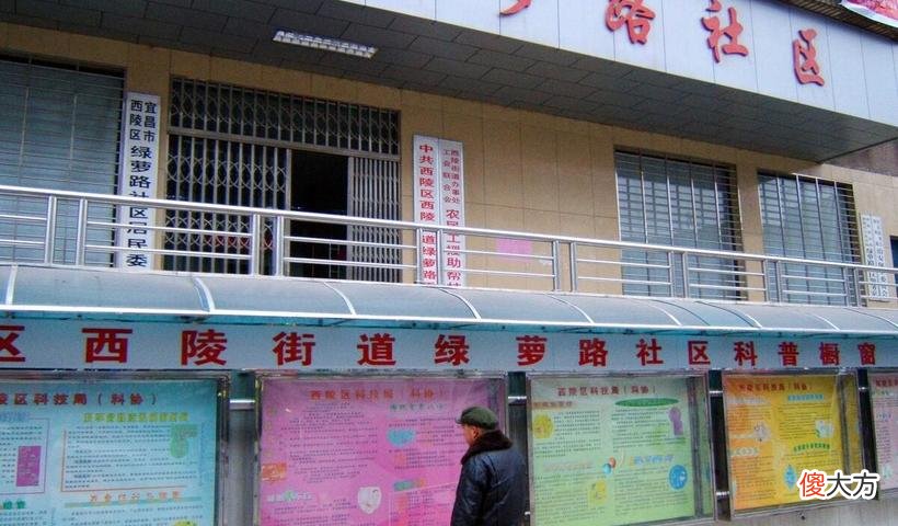 桃林路社区居委会招聘启事全新发布