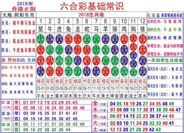 澳门正版资料大全资料生肖卡,实时数据解析_KP70.260