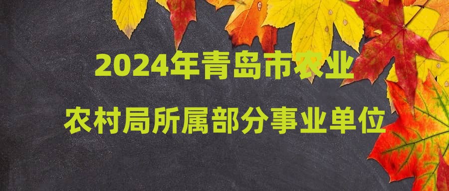 2024年12月9日 第14页