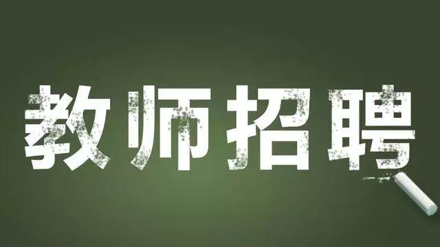 阜宁县人力资源和社会保障局最新项目概览与动态更新