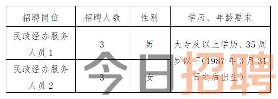 芷江侗族自治县统计局最新招聘信息概览