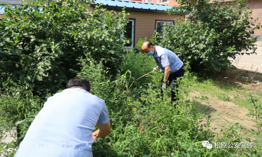 宁江区自然资源和规划局最新新闻动态