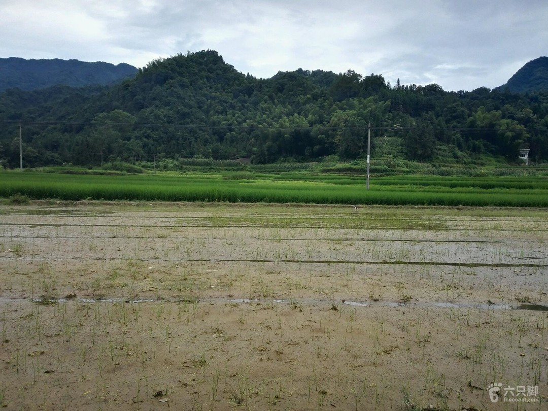 平田乡天气预报更新通知